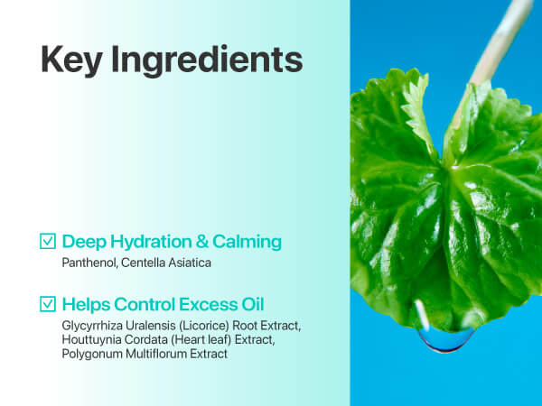 NUMBUZIN No.1 Pure-full Calming Herb Toner 300ml /arctonik - Image 4